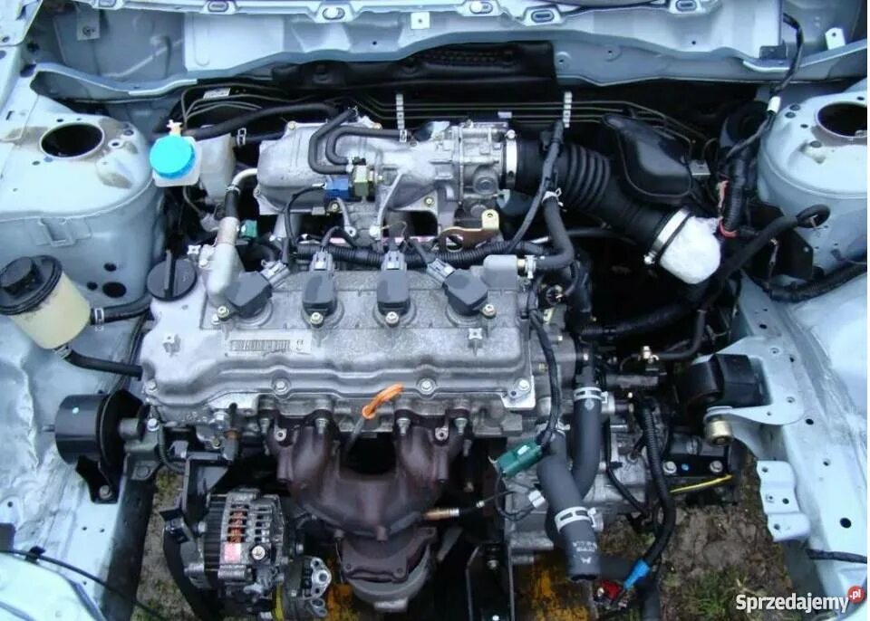 Ниссан примера двигатель фото NISSAN PRIMERA P12 KOLEKTOR SSĄCY 1.8 Nowy Tomyśl - Sprzedajemy.pl