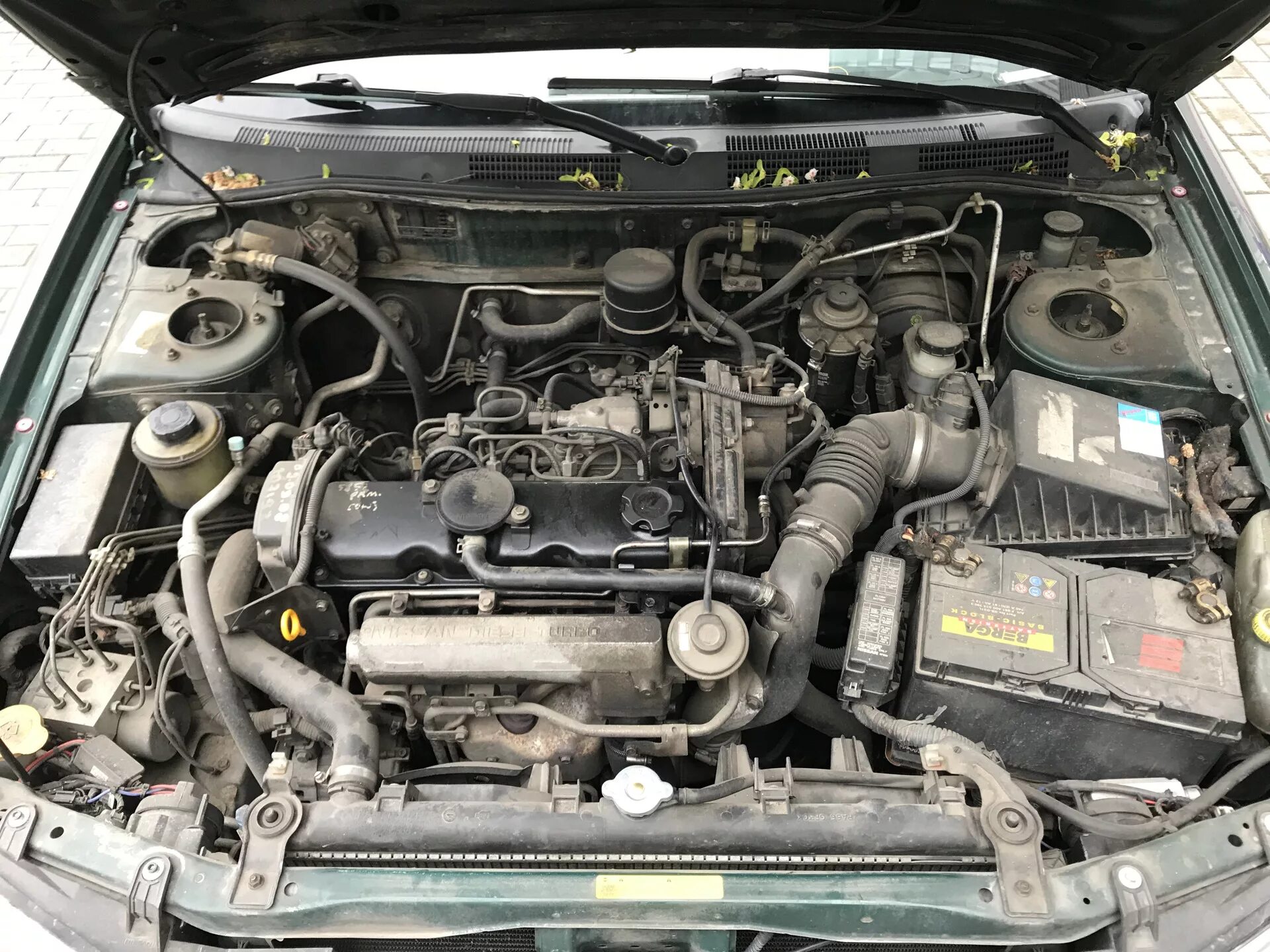 Ниссан примера двигатель фото #8. Помыл мотор - Nissan Primera (P11-144), 2 л, 2000 года мойка DRIVE2