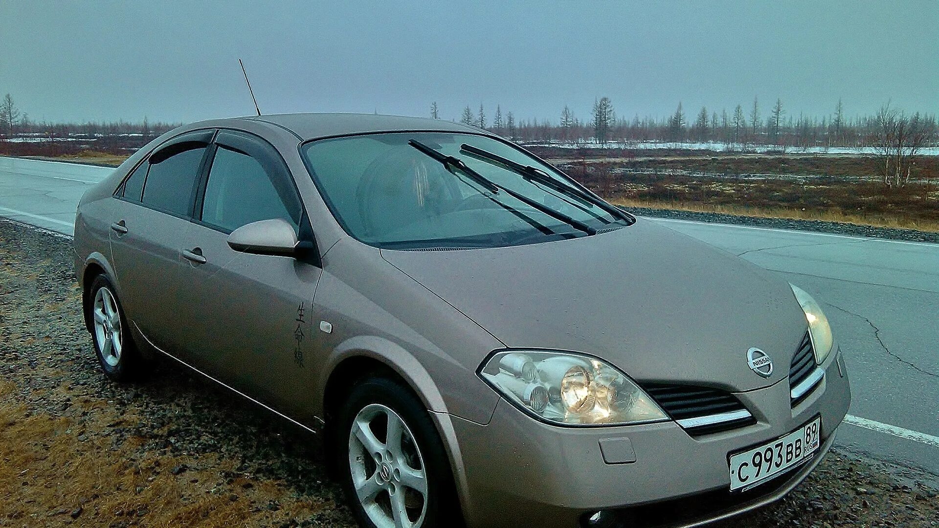 Ниссан примера фото 2006 Nissan Primera (P12) 1.6 бензиновый 2006 2006 на DRIVE2