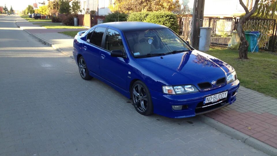 Ниссан примера p11 тюнинг Nissan Primera (P11) 2.0 гибридный (Plug-in) 1997 GT SR20VE N1 N0 BUDDY на DRIVE