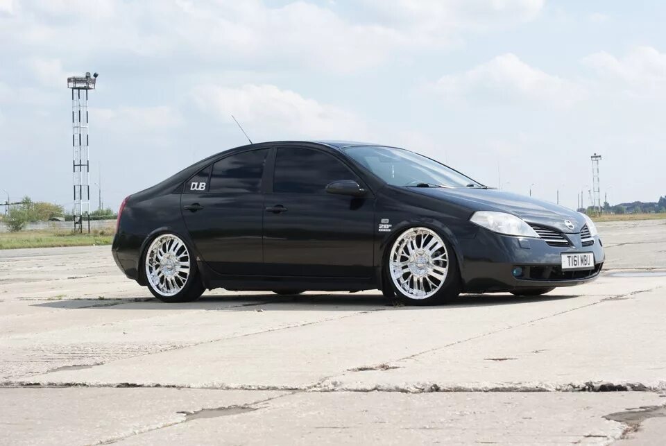 Ниссан примера p12 тюнинг Фотосетик перед CarFest2 - Nissan Primera (P12), 5 л, 2002 года фотография DRIVE