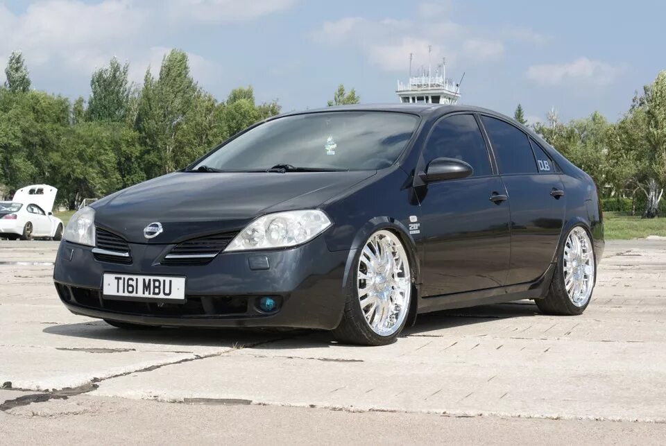 Ниссан примера п12 тюнинг фото Фотосетик перед CarFest2 - Nissan Primera (P12), 5 л, 2002 года фотография DRIVE