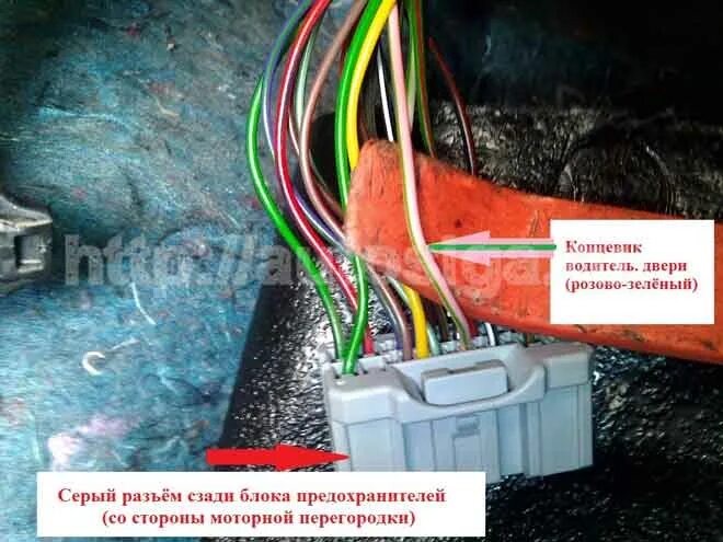 Ниссан примера подключение сигнализации Установка автосигнализации на Nissan Pixo 2009