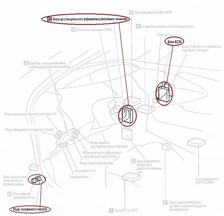 Ниссан примера р12 точки подключения сигнализации Установка сигнализации своими руками - Сообщество "Nissan Primera P12" на DRIVE2
