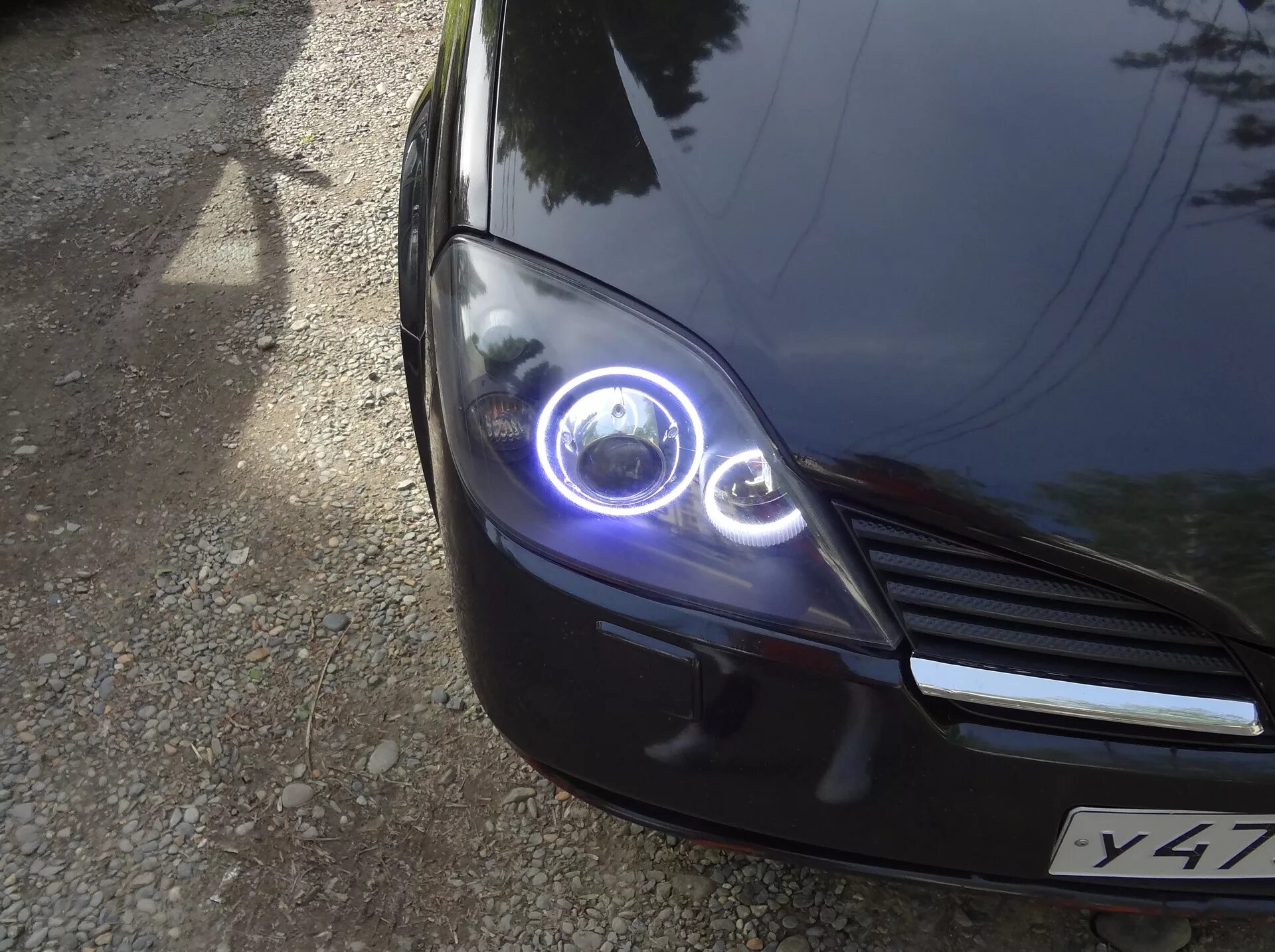 Ниссан примера тюнинг фар Свет бомба! Линзы и ангельские глазки. - Nissan Primera (P12), 2 л, 2005 года ст