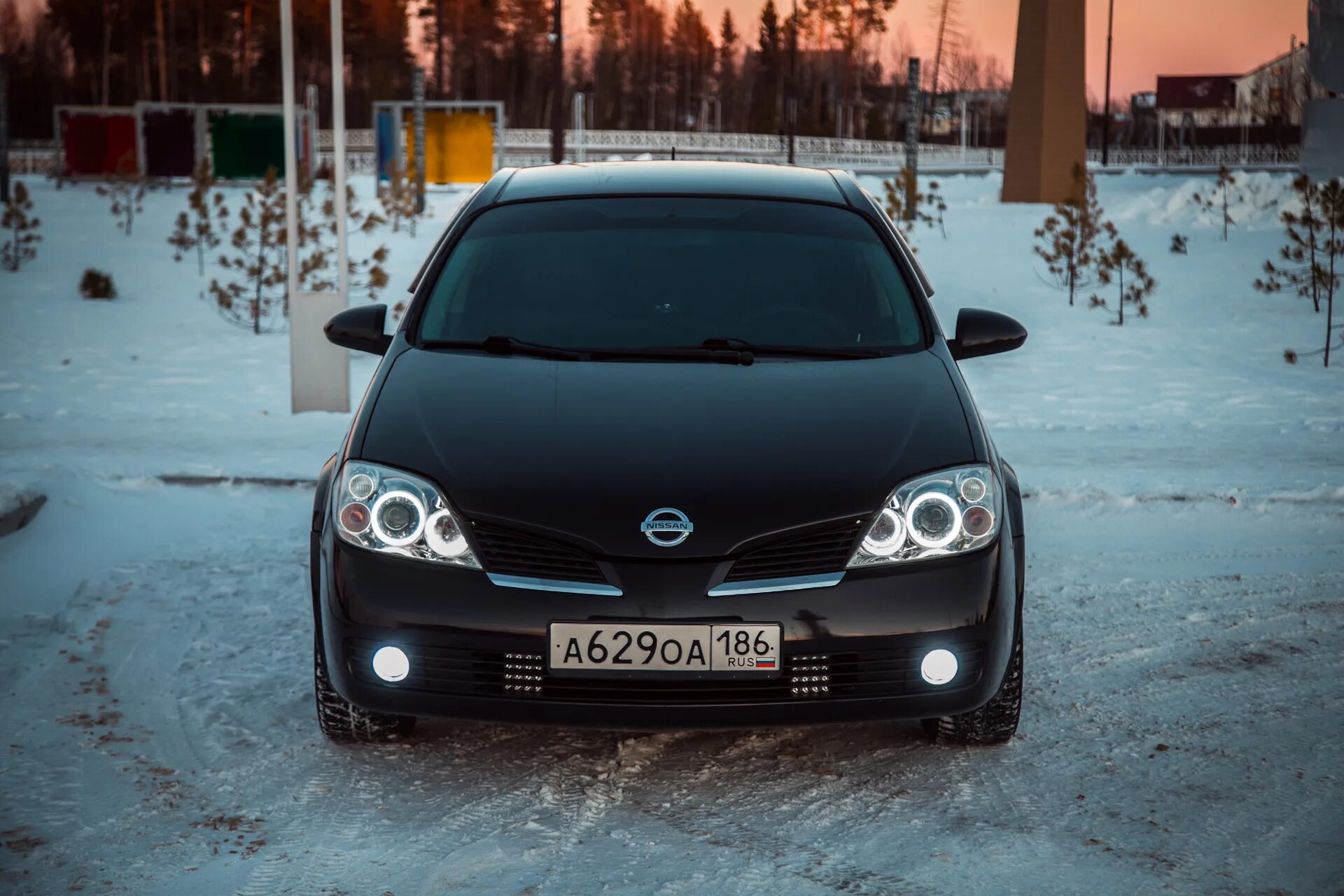 Ниссан примера тюнинг фар БИлинзы - Nissan Primera (P12), 1,6 л, 2006 года стайлинг DRIVE2