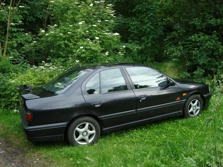 Ниссан р10 фото Ниссан Примера Р10 Фото - Mixyfotos.ru