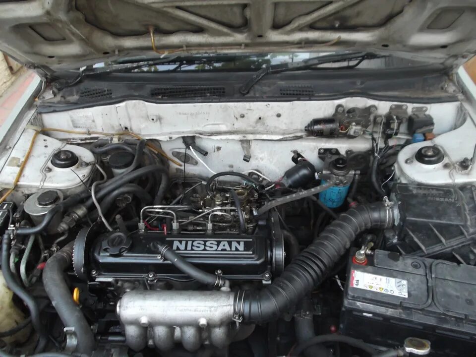 Ниссан санни двигатель фото её дизельное сердце)) - Nissan Sunny (B12), 1,7 л, 1986 года фотография DRIVE2