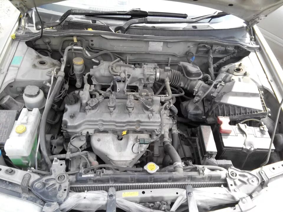 Ниссан санни двигатель фото Мойка двигателя - Nissan Sunny (B15), 1,5 л, 2003 года мойка DRIVE2