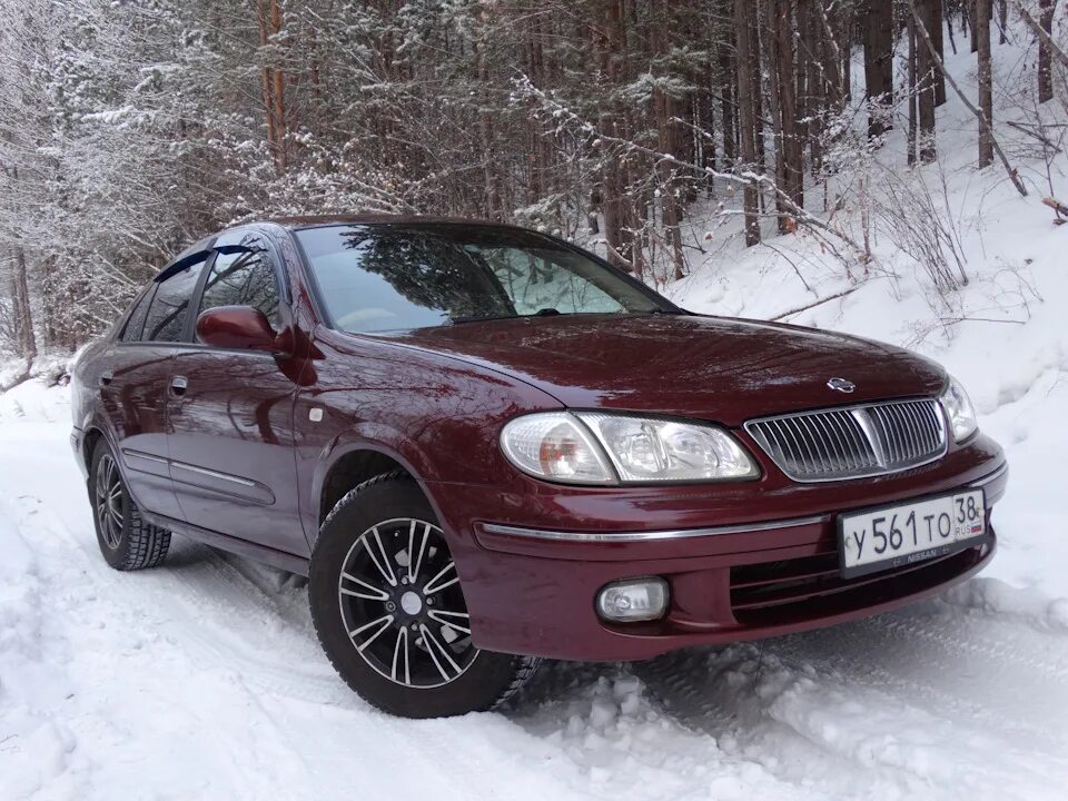 Ниссан силфи 2001 фото Фото. часть1 - Nissan Bluebird Sylphy (G10), 1,8 л, 2001 года фотография DRIVE2