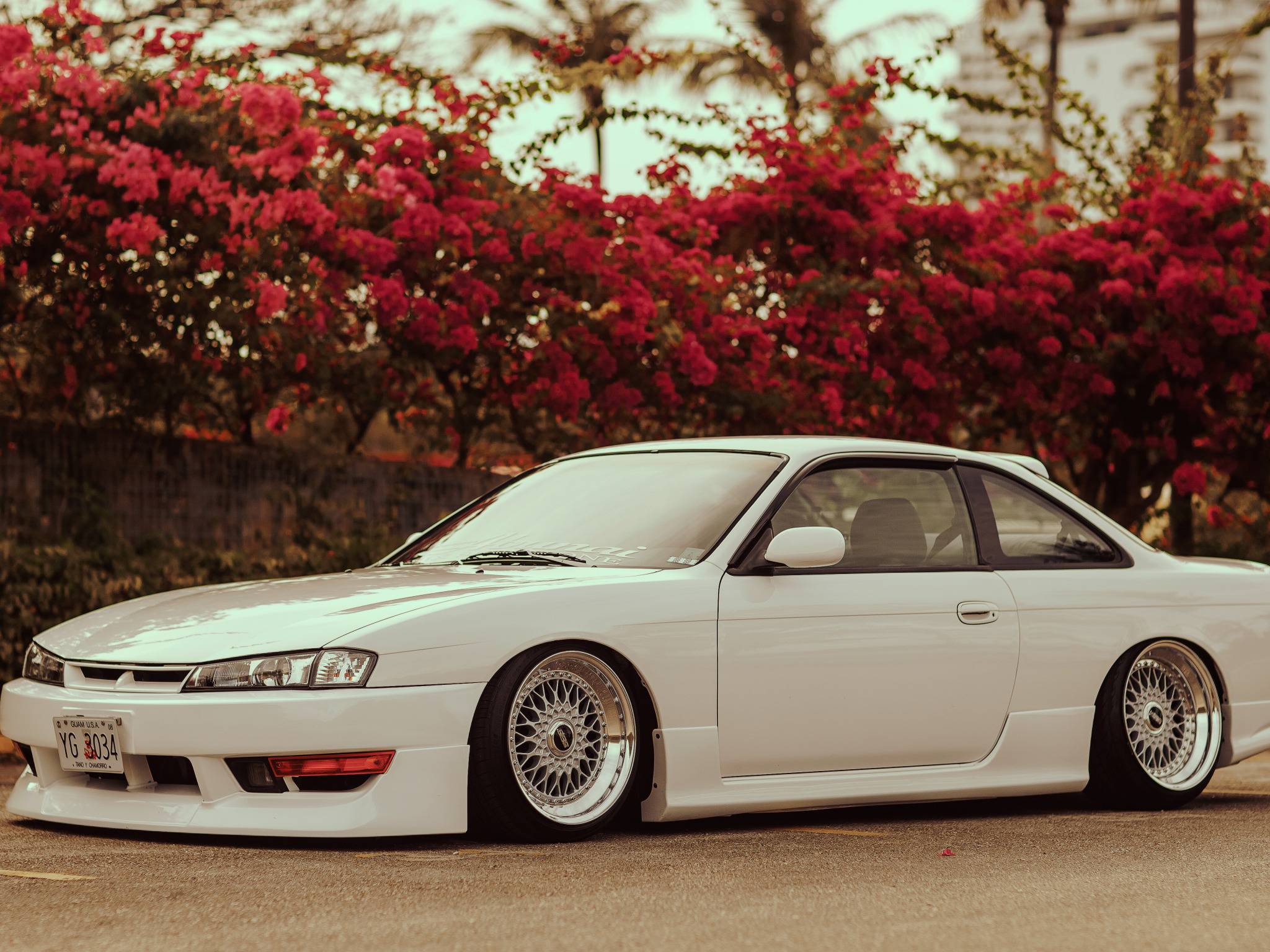 Ниссан сильвия с13 тюнинг Скачать обои цветы, тюнинг, белая, Silvia, Nissan, white, ниссан, сильвия, разде