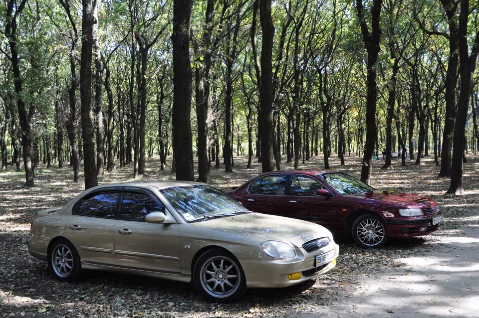 Ниссан соната фото Фотосессия с Nissan Maxima =) - Hyundai Sonata IV (EF), 2 л, 2000 года встреча D
