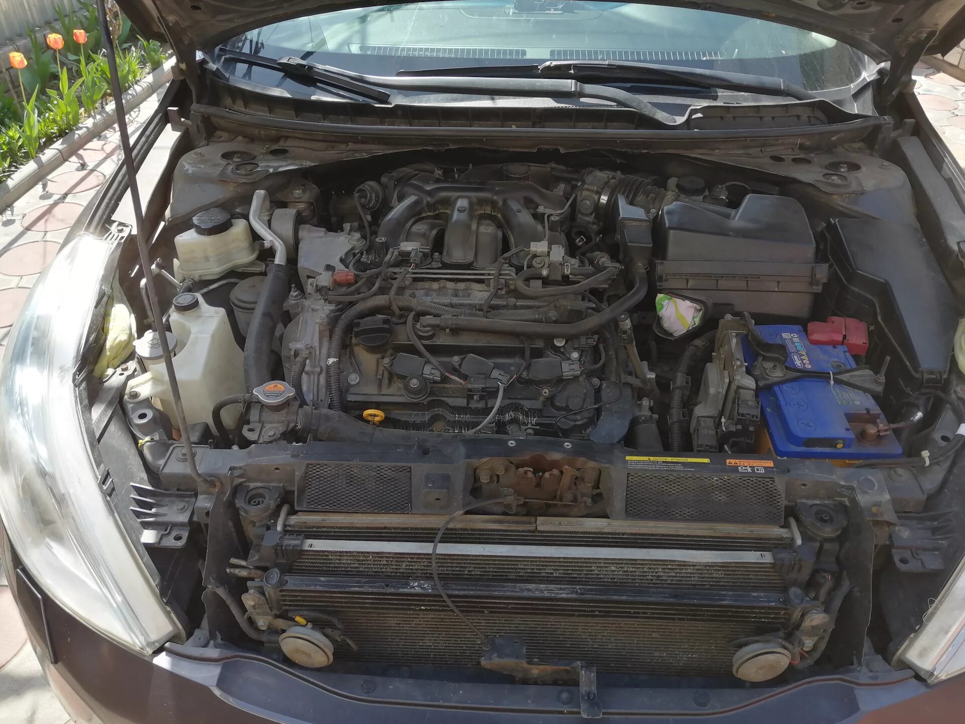 Ниссан теана фото под капотом Мойка подкапотного пространства - Nissan Teana (J32), 2,5 л, 2009 года мойка DRI