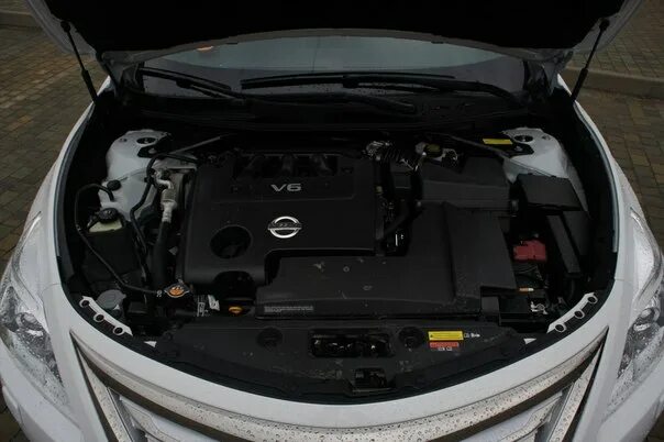 Ниссан теана фото под капотом Новости и акции ОД "Автомир" - Страница 10 - Форумы Club-Nissan.ru