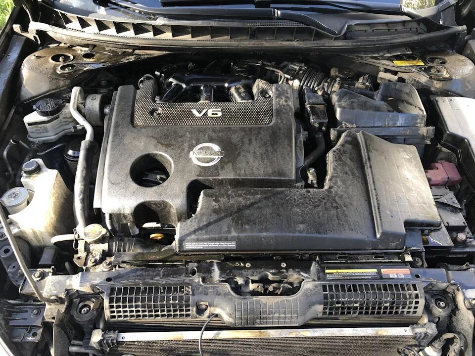 Ниссан теана фото под капотом Грязно под капотом-исправляем - Nissan Teana (J32), 2,5 л, 2013 года мойка DRIVE