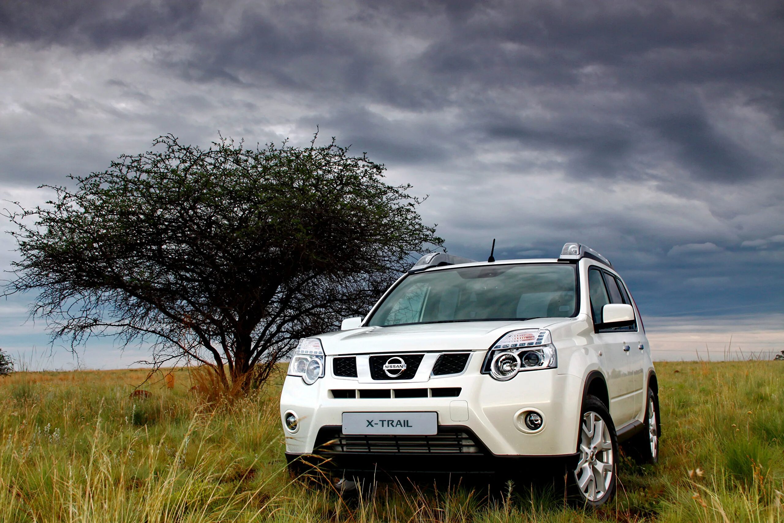 Ниссан x trail t31 фото Фото Ниссан SUV X-Trail, ZA-spec, (T31), 2010-14 белые 2560x1707