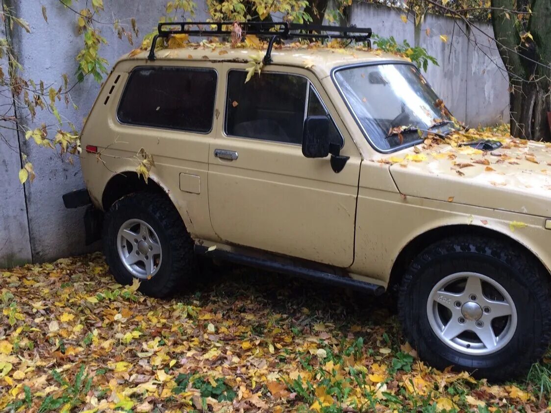 Нива бежевая тюнинг Купить б/у Lada (ВАЗ) 2121 (4x4) I 1.6 MT (75 л.с.) 4WD бензин механика в Томили
