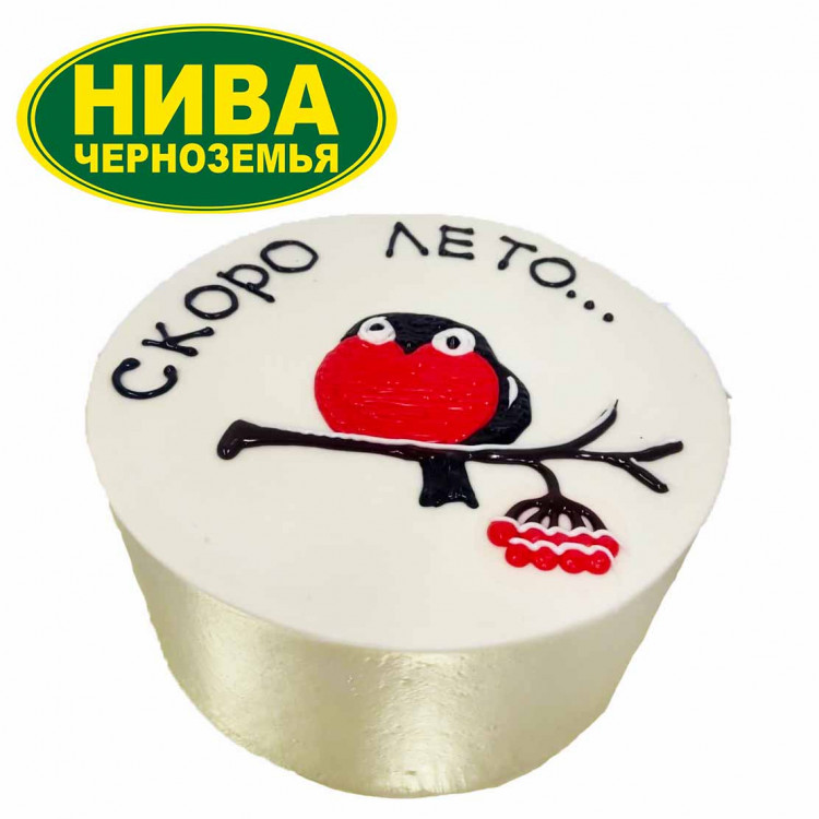 Нива черноземья курская ул 82 фото Торт Скоро лето... купить с доставкой до магазина