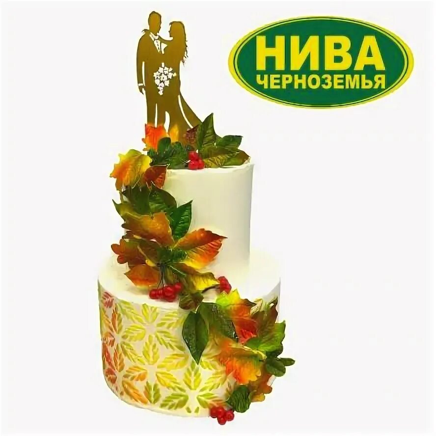 Нива черноземья курская ул 82 фото Все заказные торты