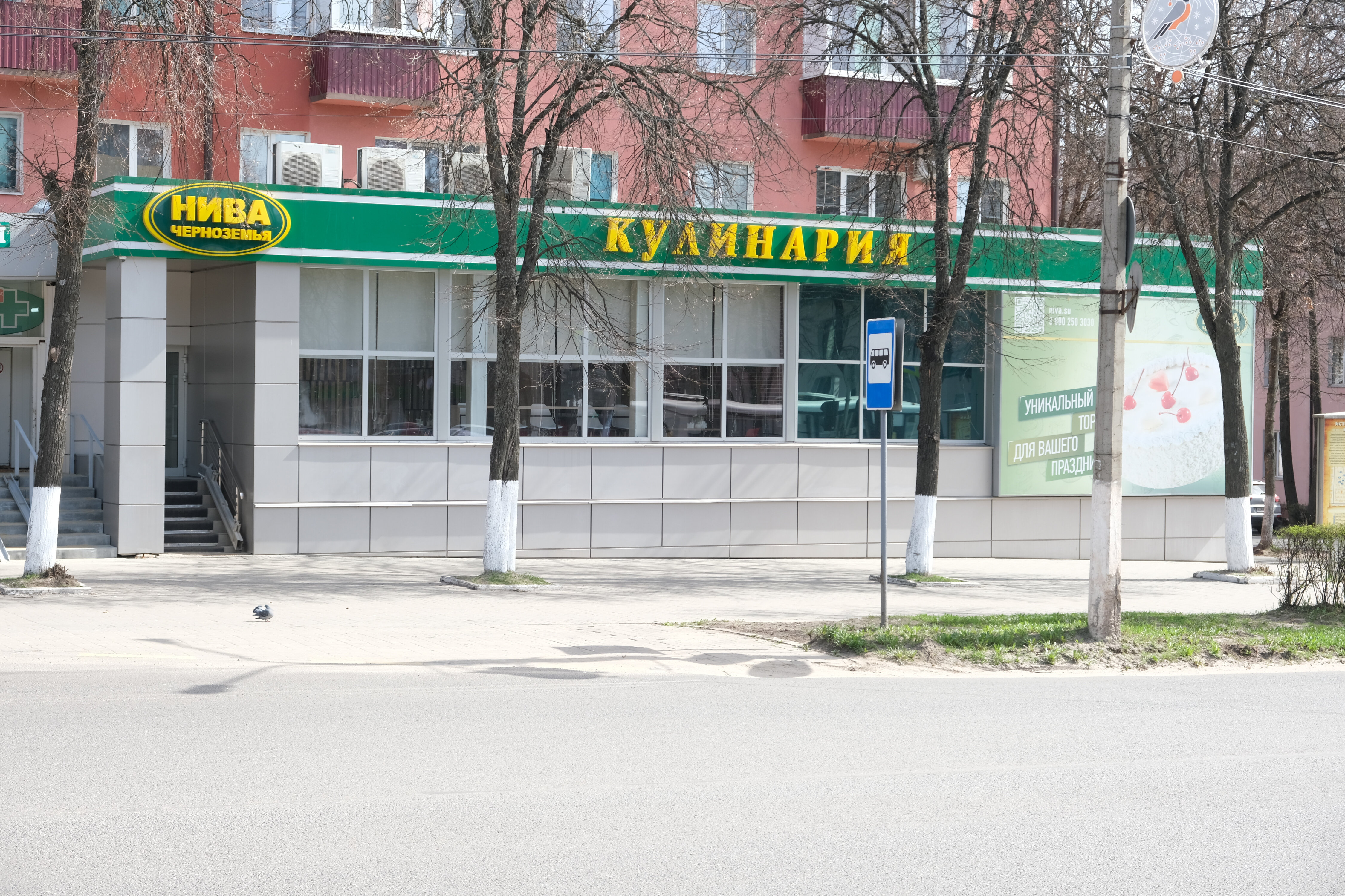 Нива черноземья курская ул 82 фото Отзывы о "Нива Черноземья", Курская область, Железногорск, улица Ленина, 12 - ст