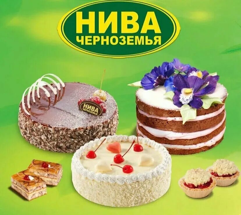 Нива черноземья курская ул 82 фото Белорусская и Казахстанская продукция, продуктовый гипермаркет, ул. Лукашина, 4,