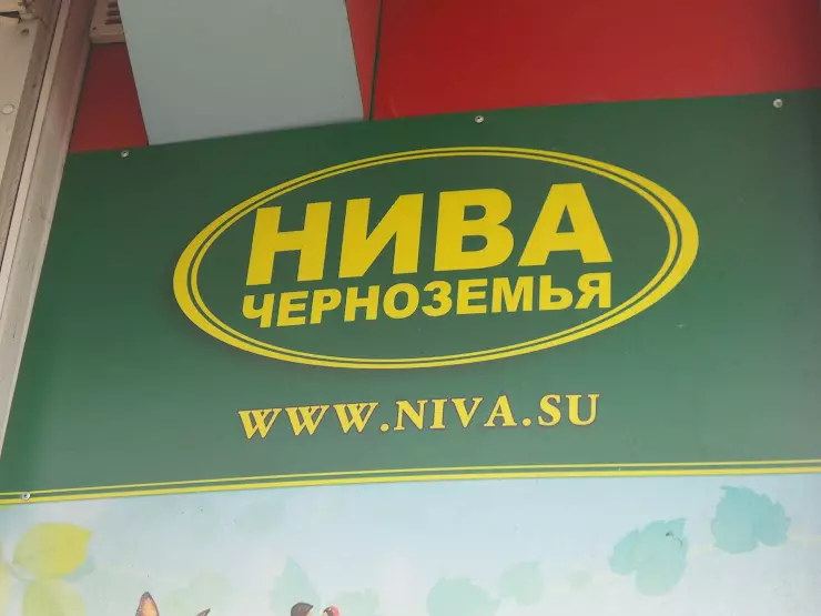 Нива черноземья ул трудовые резервы 71 фото Магазин ТОРТЫ НИВА в Белгороде, ул. Белгородского Полка, 47 - отзывы 2024, рейти