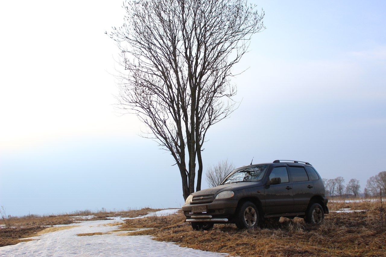 Нива дерево фото Первый любительский фотосет - Chevrolet Niva, 1,7 л, 2007 года фотография DRIVE2