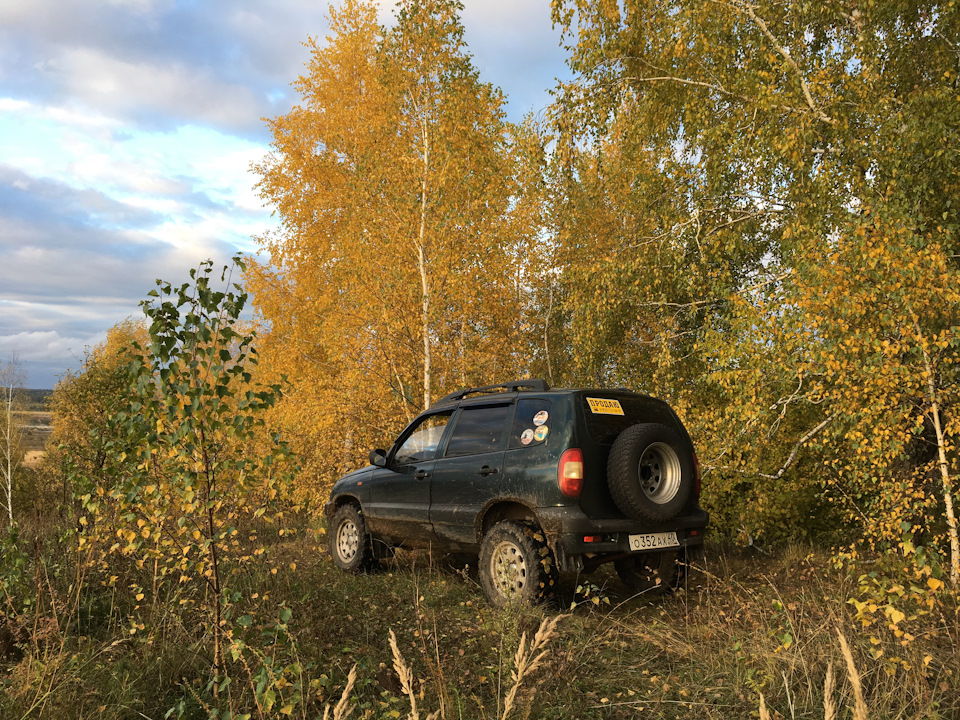 Нива дерево фото Уехала. - Chevrolet Niva, 1,7 л, 2003 года продажа машины DRIVE2