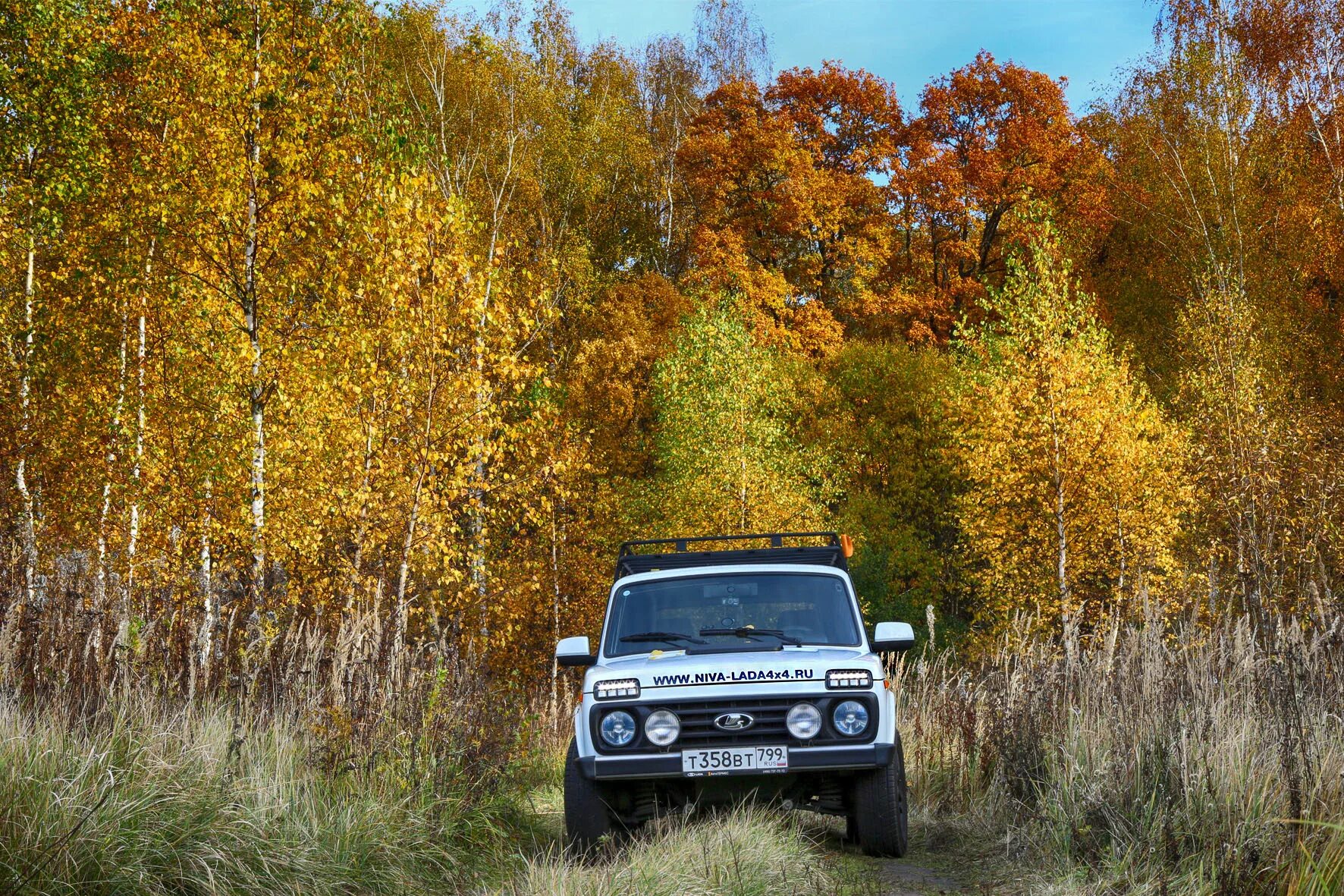 Нива дерево фото Осень, НИВА - Lada 4x4 3D, 1,7 л, 2018 года фотография DRIVE2
