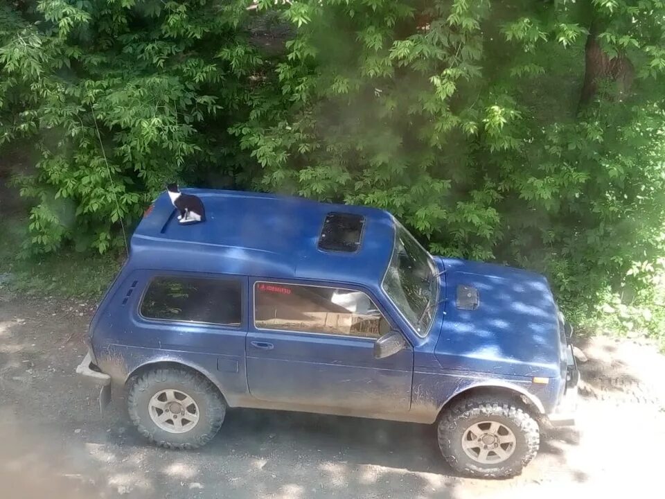 Нива фора тюнинг для бездорожья Покраска в Кобру - Lada 21218 Фора, 1,9 л, 2001 года стайлинг DRIVE2