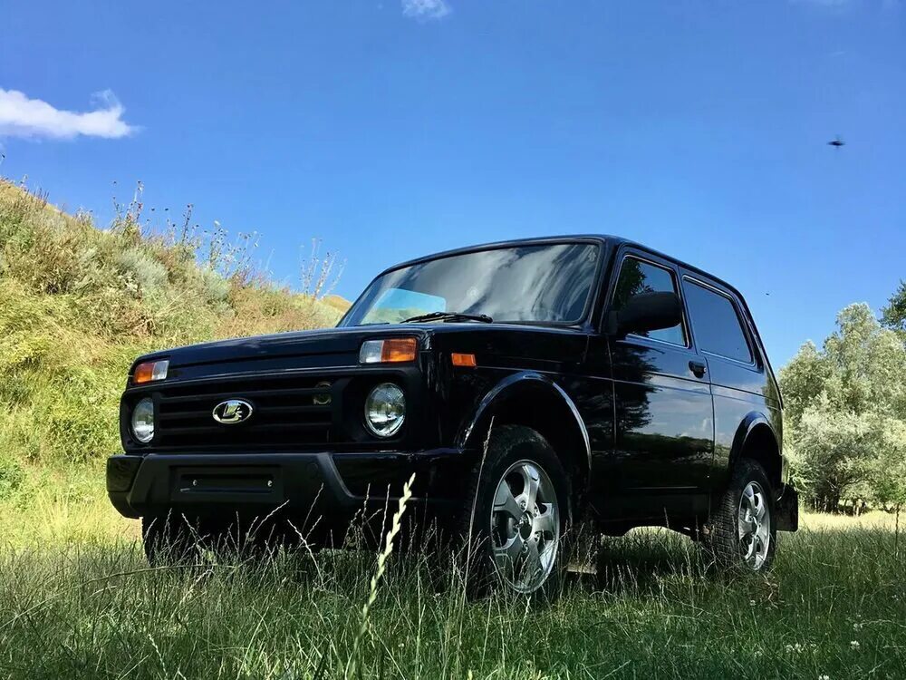 Нива фото продажа Куплю Ниву 3D - Chevrolet Niva, 1,7 л, 2013 года покупка машины DRIVE2