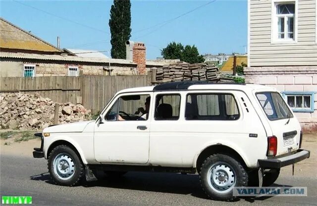 Нива кедр фото "Нива" и компания - ЯПлакалъ