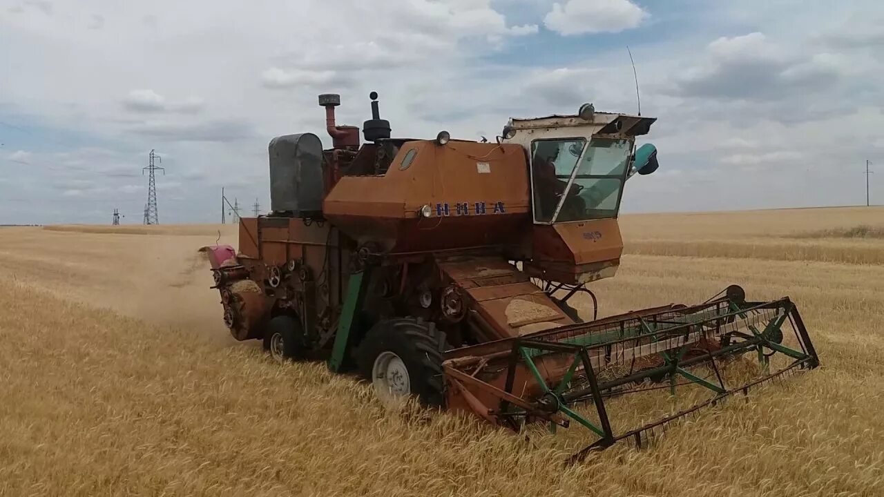 Нива комбайн в поле фото Комбайн Нива СК 5 уборка озимой пшеницы 5й день - YouTube
