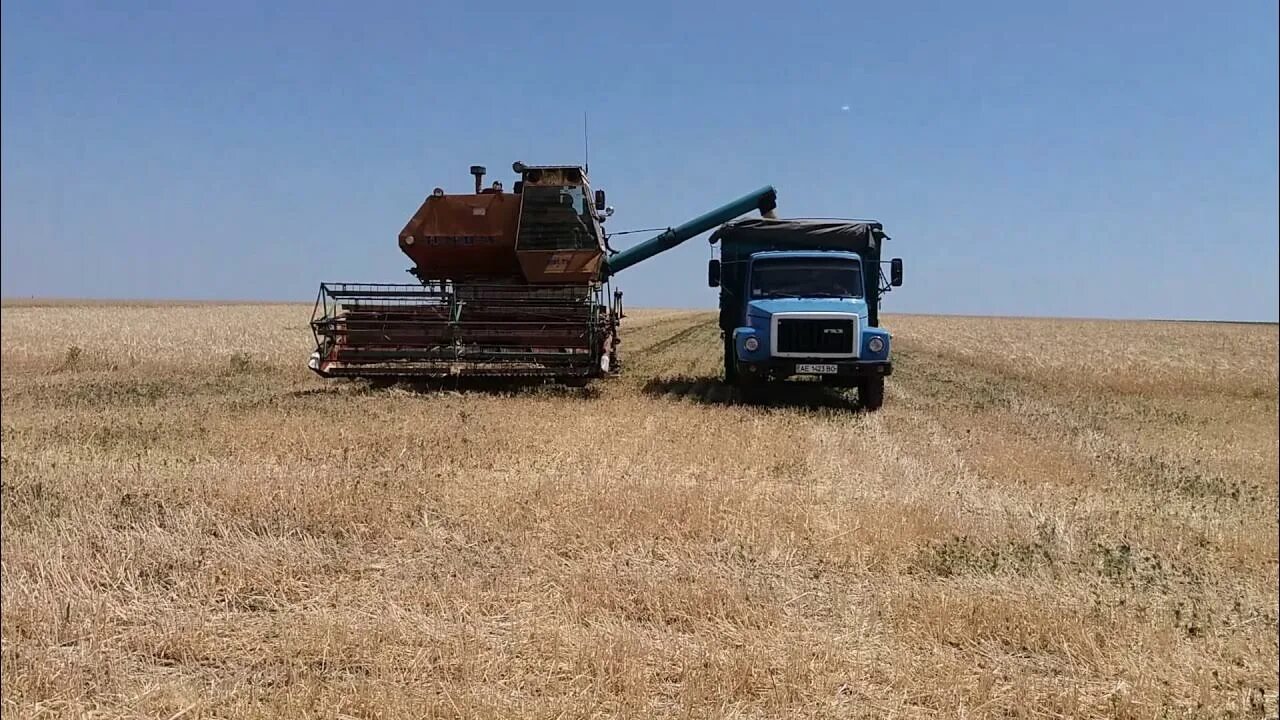 Нива комбайн в поле фото Комбайн Нива СК 5 уборка озимого ячменя - YouTube