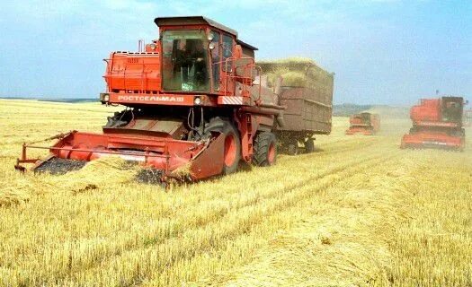 Нива комбайн в поле фото Липецкие аграрии намолотили полмиллиона тонн зерна - Новости Липецка