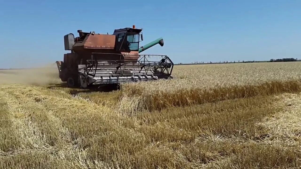Нива комбайн в поле фото ОБЗОР Комбайн НИВА уборка урожая пшеницы - YouTube