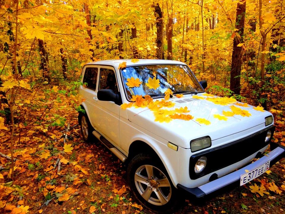 Нива красивые фото Осенний фотосет двух любимых! - Lada 4x4 3D, 1,7 л, 2013 года фотография DRIVE2