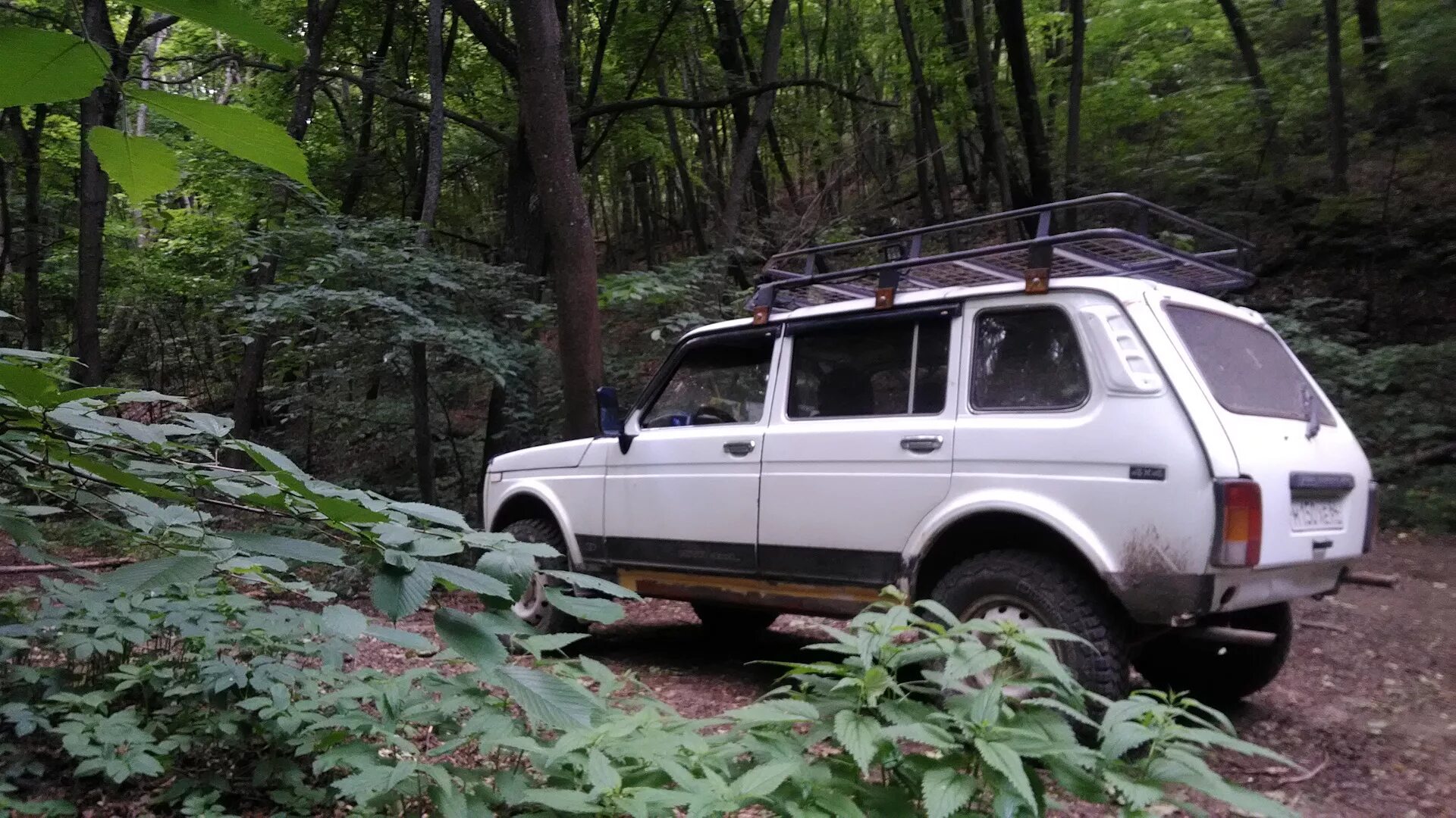Нива крокодил фото Покатушка в никуда Кумысная поляна - Lada 2131, 1,7 л, 1999 года покатушки DRIVE