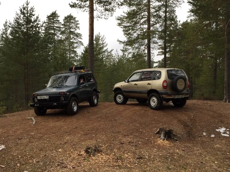 Нива медведь фото Первые покатушки на медведях 235/75 - Chevrolet Niva, 2004 года шины DRIVE2
