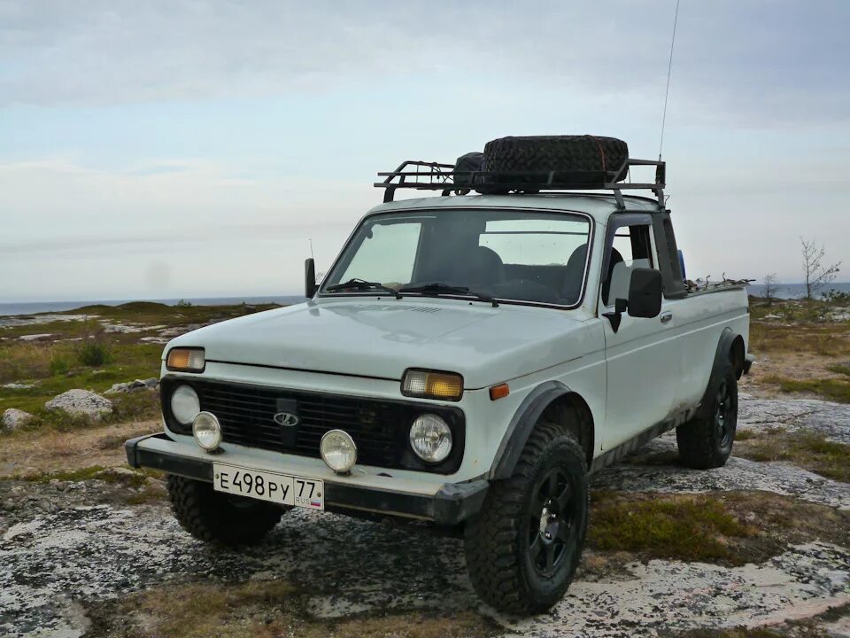Нива медведь фото Белый на Белом. Мыс Пурнаволок. Часть третья. - Lada 2329, 1,6 л, 2000 года путе