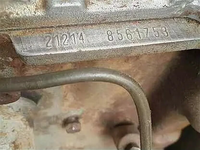 Нива номер двигателя где находится фото ДВИГАТЕЛЬ НИВА - Машины, мотоциклы, грузовики - купить новые и бу автомобили, за