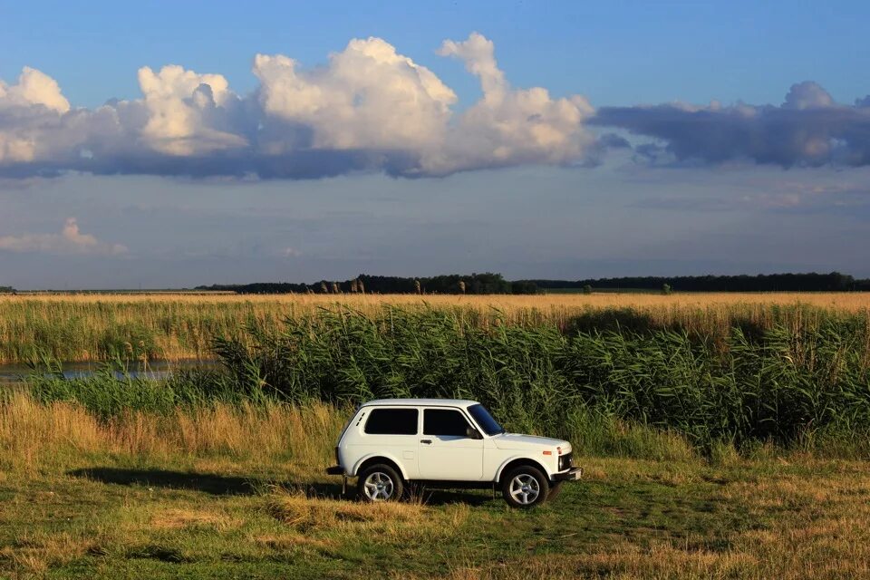 Нива поле фото Яркие фото, part 1 - Lada 4x4 3D, 1,7 л, 2013 года фотография DRIVE2