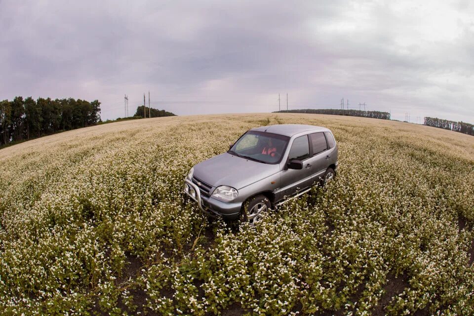 Нива поле фото Прощание с классикой. Фотки - Chevrolet Niva, 1,8 л, 2007 года фотография DRIVE2