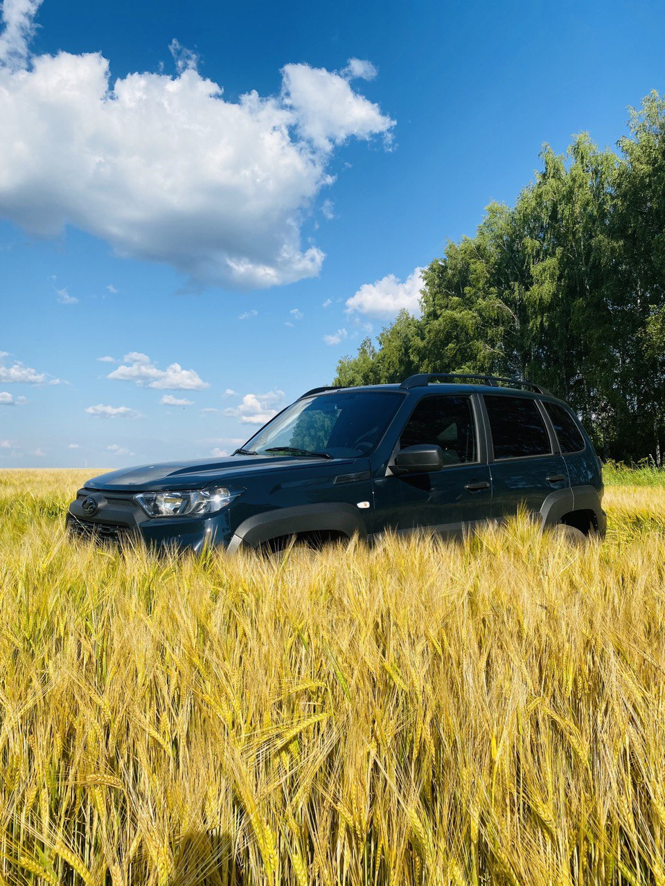 Нива поле фото Прошивка - Lada Niva Travel, 1,7 л, 2022 года другое DRIVE2