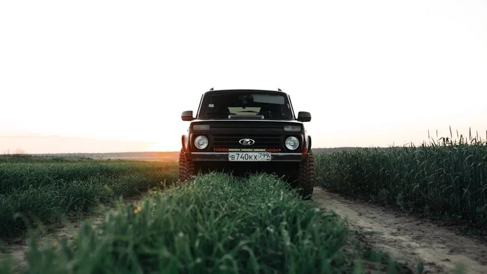 Нива поле фото Июнь, Нива, поле. - Lada 4x4 3D, 1,7 л, 2018 года фотография DRIVE2
