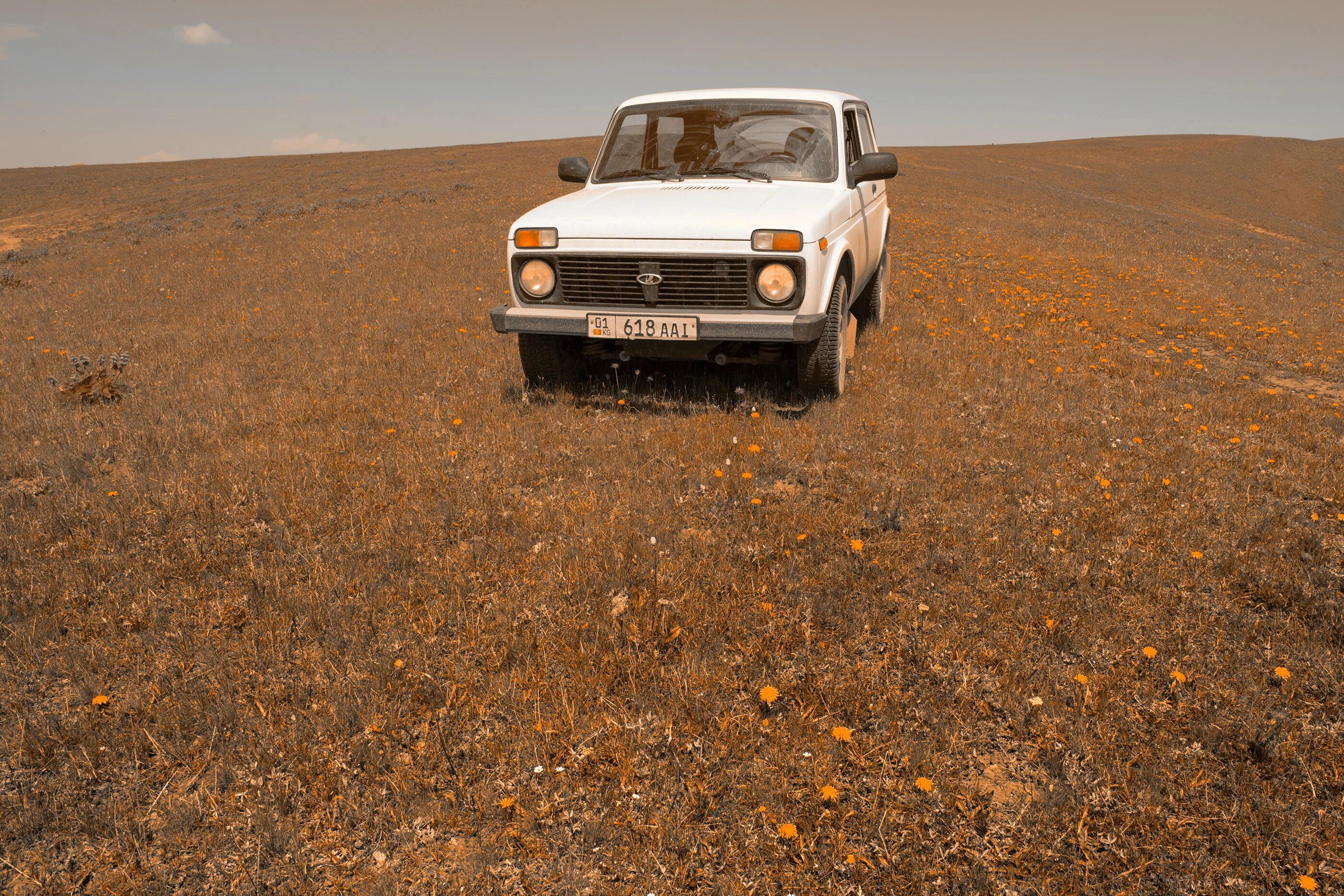 Нива поле фото DETOUR on Behance