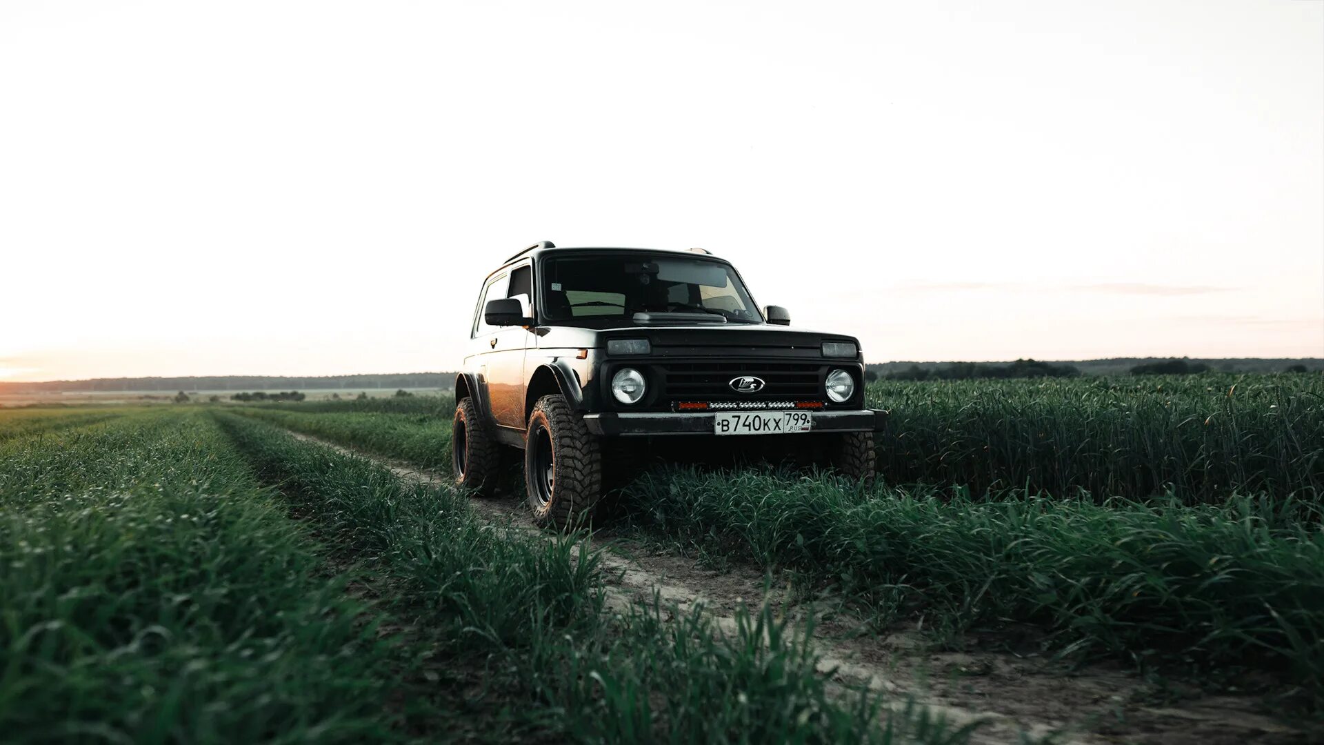 Нива поле фото Июнь, Нива, поле. - Lada 4x4 3D, 1,7 л, 2018 года фотография DRIVE2