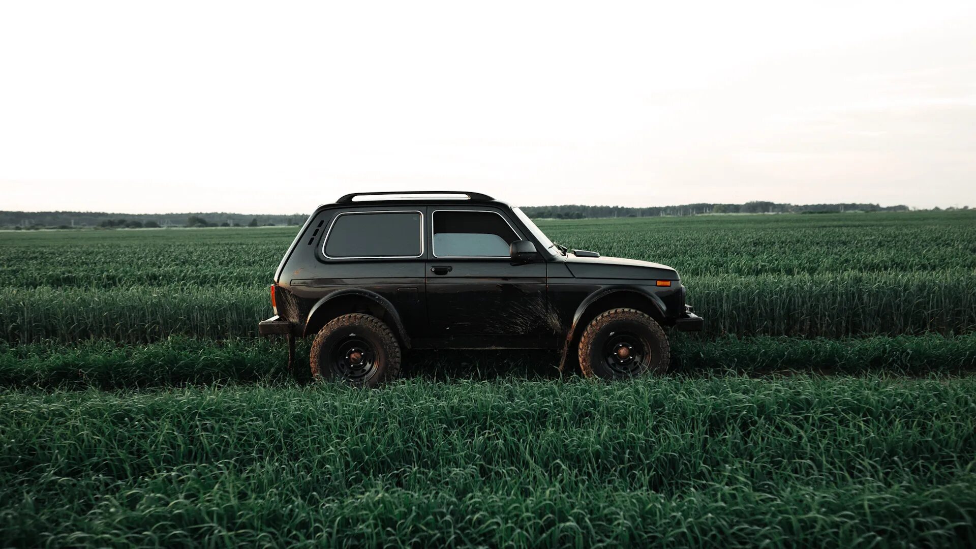 Нива поле фото Июнь, Нива, поле. - Lada 4x4 3D, 1,7 л, 2018 года фотография DRIVE2