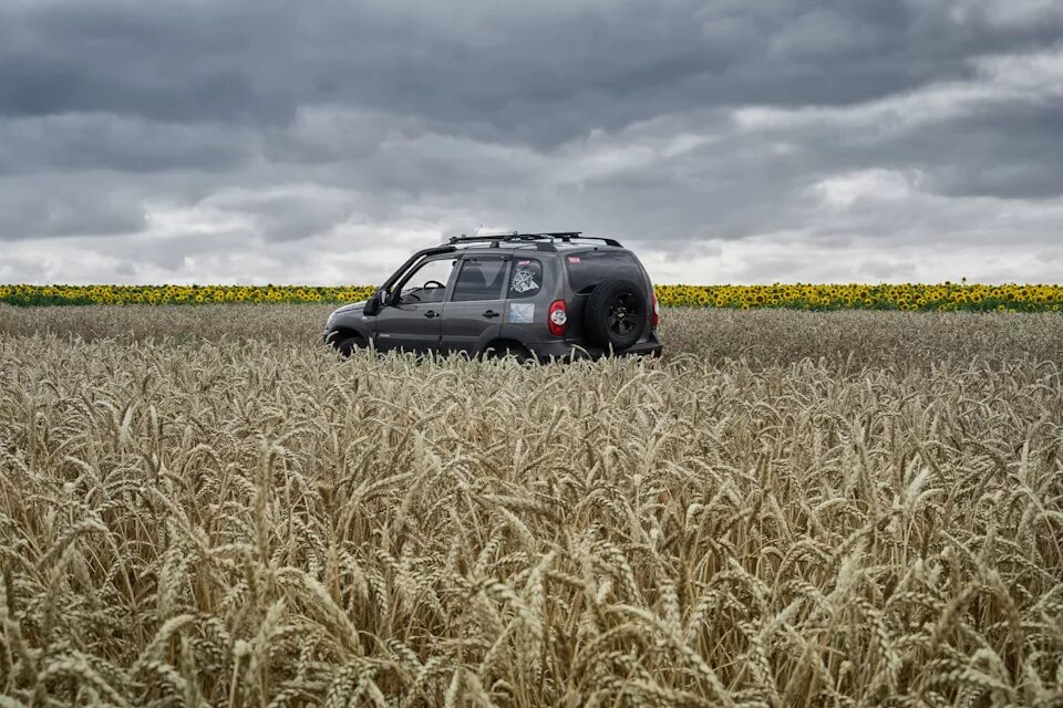 Нива поле фото Нивы Ставрополья - Chevrolet Niva, 1,7 л, 2013 года покатушки DRIVE2