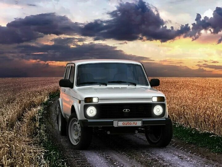 Нива природа фото Купить б/у Lada (ВАЗ) 2121 (4x4) I Рестайлинг 1.7 MT (83 л.с.) 4WD бензин механи